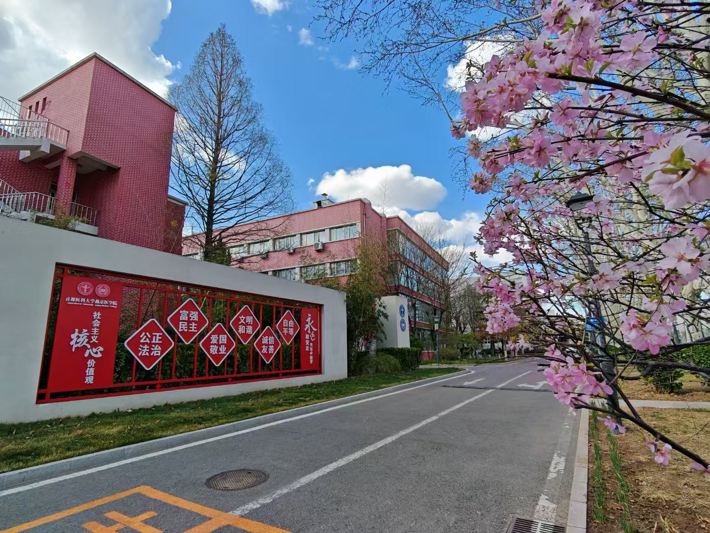 熟女av
核心加值观.JPG